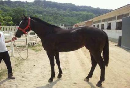 ī������ ����