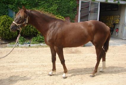 �Ŀ��巡�� ����