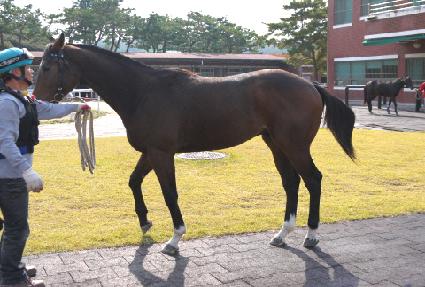 �Ƹ��װ��� ����