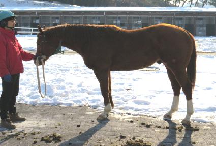 ��ũ ����