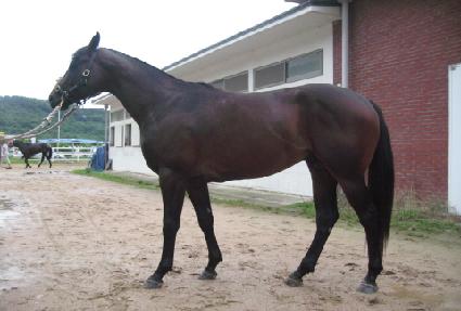 ���� ����