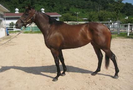 ���� ����