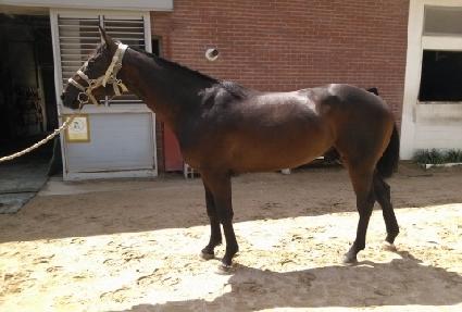 �ް���Ʈ ����