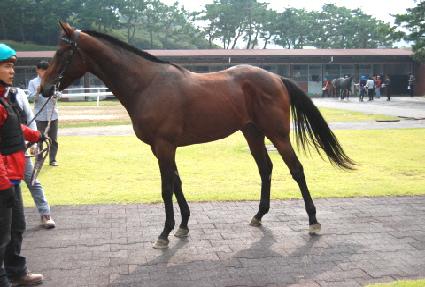 ���ͼ����̼� ����