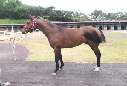 ����Ǯ���� ����