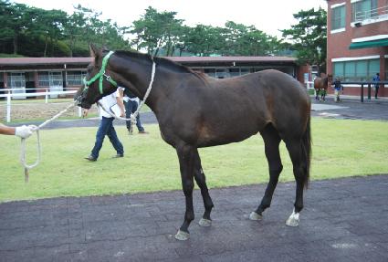 �ۼ���Ʈ���� ����