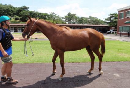 žĿ��� ����