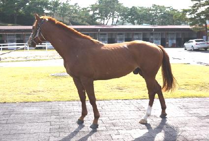 ���������� ����