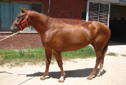 �������� ����