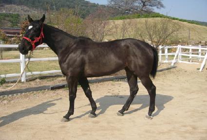 ����è�� ����