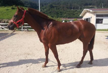 �����ý��� ����