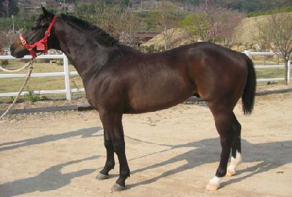 �������� ����