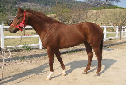 �������� ����