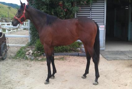 ŷ����ε� ����