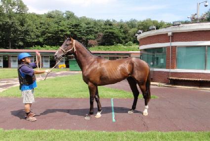 ���ǳ� ����