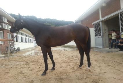 ���̾���Ű ����