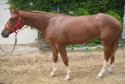 �̽�ǻ�� ����