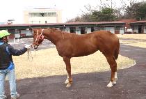 �޴����� (MEDAL WINNER) ����