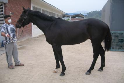 ���ߴ��� ����