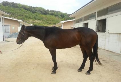 ����è�Ǿ� ����