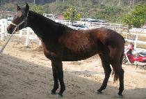 �ݹ� (CALL ME) ����