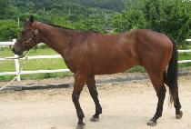 �Ƹ��ٿ����� (AREUMDAUNHYEOPDONG) ����