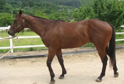 �Ƹ��ٿ����� ����