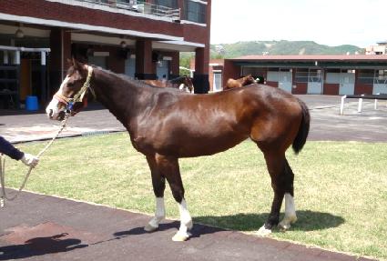 �ݳ��� ����