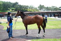 �ݿ��� (GEUMWORI) ����