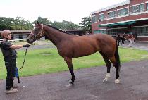 ���̺��� (K BOSS) ����