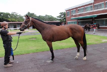 ���̺��� ����