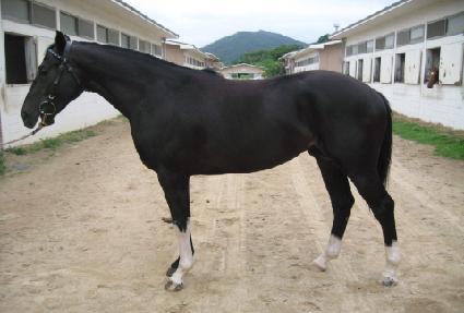 ������ ����