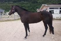 SPEEDY FIRST picture