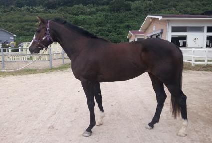 ���ǵ��۽�Ʈ ����