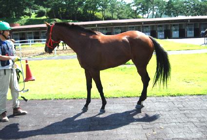 ����� ����