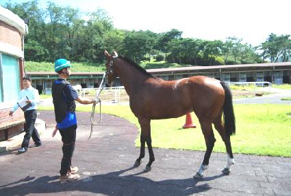 �����̳� ����