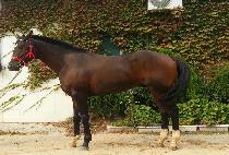 ���ﰭǳ (SINHEUNG GANGPUNG) ����