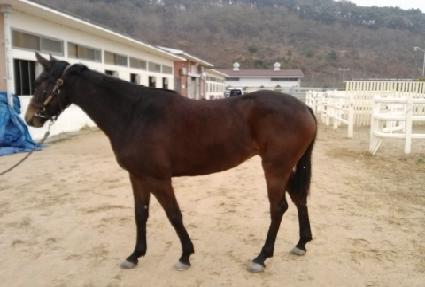 �������� ����