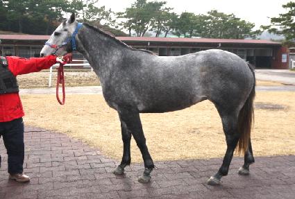 �������� ����