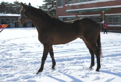 ��콺�ڽ�Ʈ ����