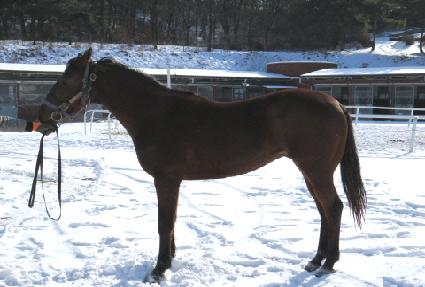 ��콺���� ����