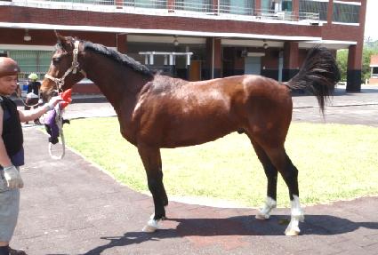 ��ī�� ����