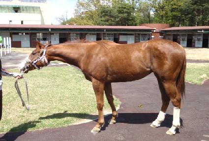 ���� ����