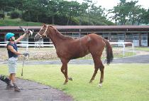 �θ�ƽ�� (ROMANTIC QUEEN) ����