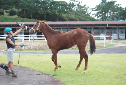 �θ�ƽ�� ����