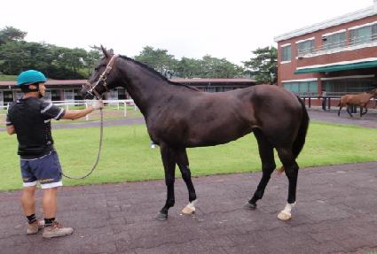 �ڽ�Ÿ���� ����