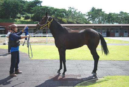 ĳ�������̴� ����