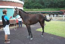 �ݰ����� (GEUMGANG BULPAE) ����