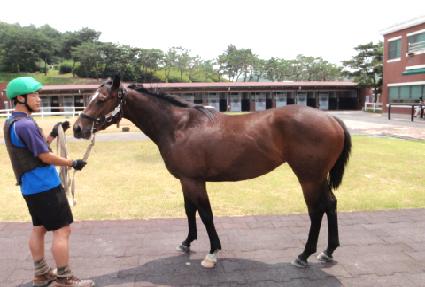 ���Ͻ�Ʈ ����