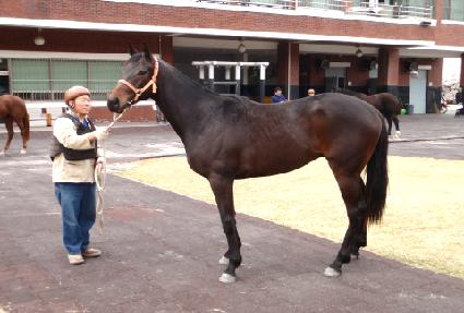 �������� ����